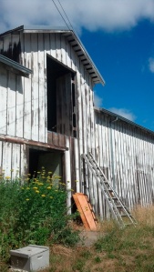the old barn